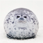The epic seal nation
