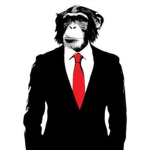 The Funny Monkeys of America