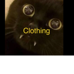 Suzzy cat clothing