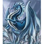 The Ice Wing Guard