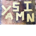 Yasmin fan group