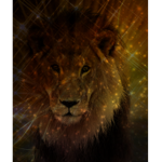 Big Cat Studios