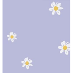 rosegoldish forever