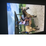 Amiyah loves Unicorns