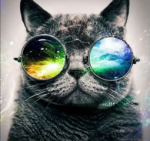 Cool Party Cats 2