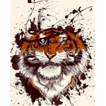 the tigers eye pirites