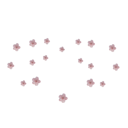 sakura flower aura