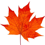 Leafsters