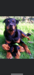 Leonie coole Gruppe