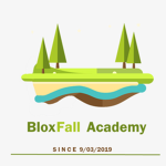 BloxFall Academy