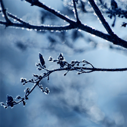 Cold Winter Background Roblox decal