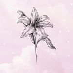 Lily Clothing Store