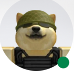 DOGE SERVICE!