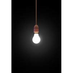 Men Of The Bulb
