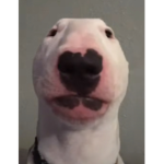 Bluds Fortnite Group