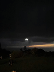 sam_sam12311