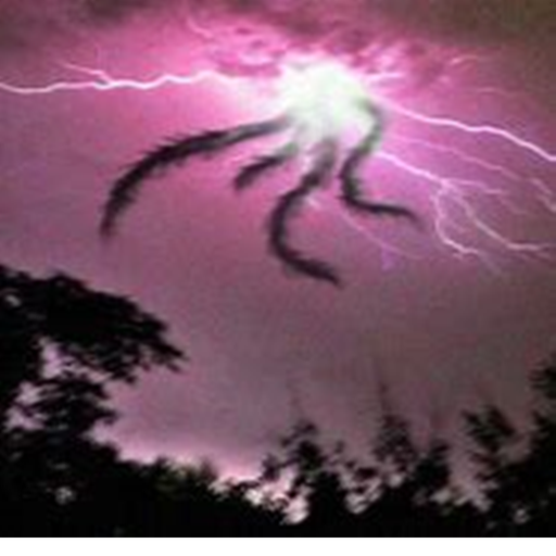 TREVOR CREATURES!!!! new creature