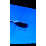 Robustime