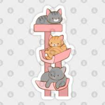 cute kitten's group