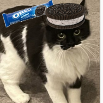 Oreos world