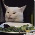 ###### シ