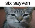 ?!:D