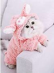 - Cute heart kitty -