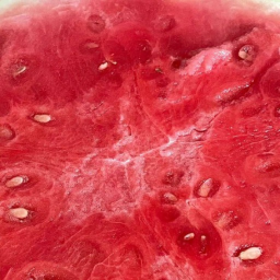 ⋆˚࿔