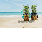 hello pineapples!