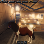 Driftcloud equestrian academy