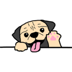 ShyFlooo