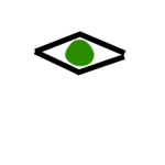 Green eye studio