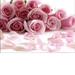 Pinky cool group