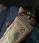 •$$$•