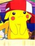 Pokemon fan groupp