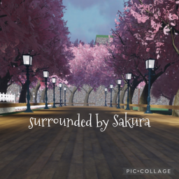 Surrounded by Sakura