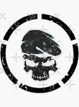 Rogue Striker Regime | RAC