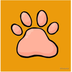 -Wildlife-