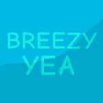 BREEZY YEA CLOTHING AND ACCESSORIES
