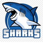 The Shiny Sharks Squad