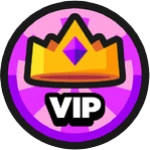 VIP Upgraders