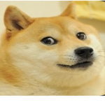 the doge group of fame