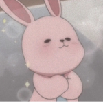 Pinkcottoncandy fan group