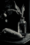 Corn Army Of Non-Corns