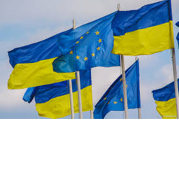 save ukraine donate pls