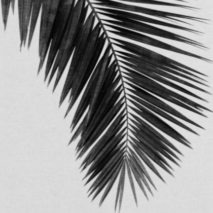 black and white palm Roblox decal