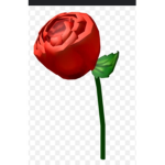 Rose Battalion