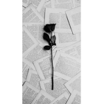 My Kind Angels