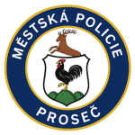 Městská Policie Czech Vision RP