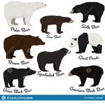 For friends of bears